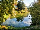 La natura in autunno nel centro storico Foto di Amelia Di Lena @amelia_dilena (6/10/2022)