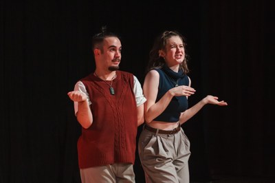 L'ARLECCHINO ERRANTE, Festa Internazionale del Teatro Vivo - anno XXIX "Lingue e Silenzi"