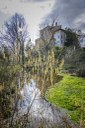 Parco Castello di Torre_vegetazione acquatica