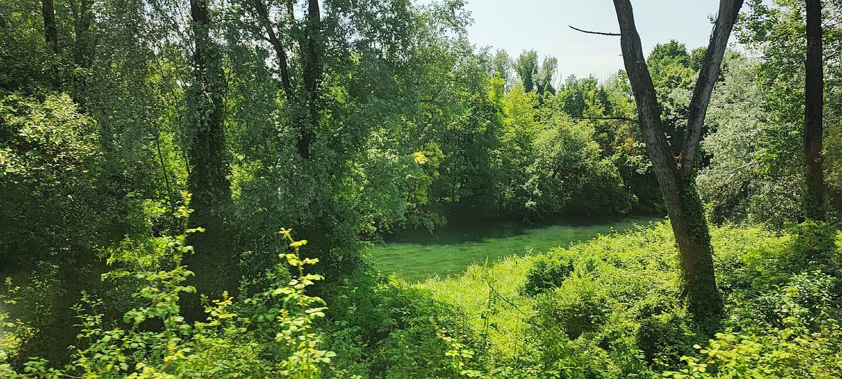 Chiusura del Parco San Valentino